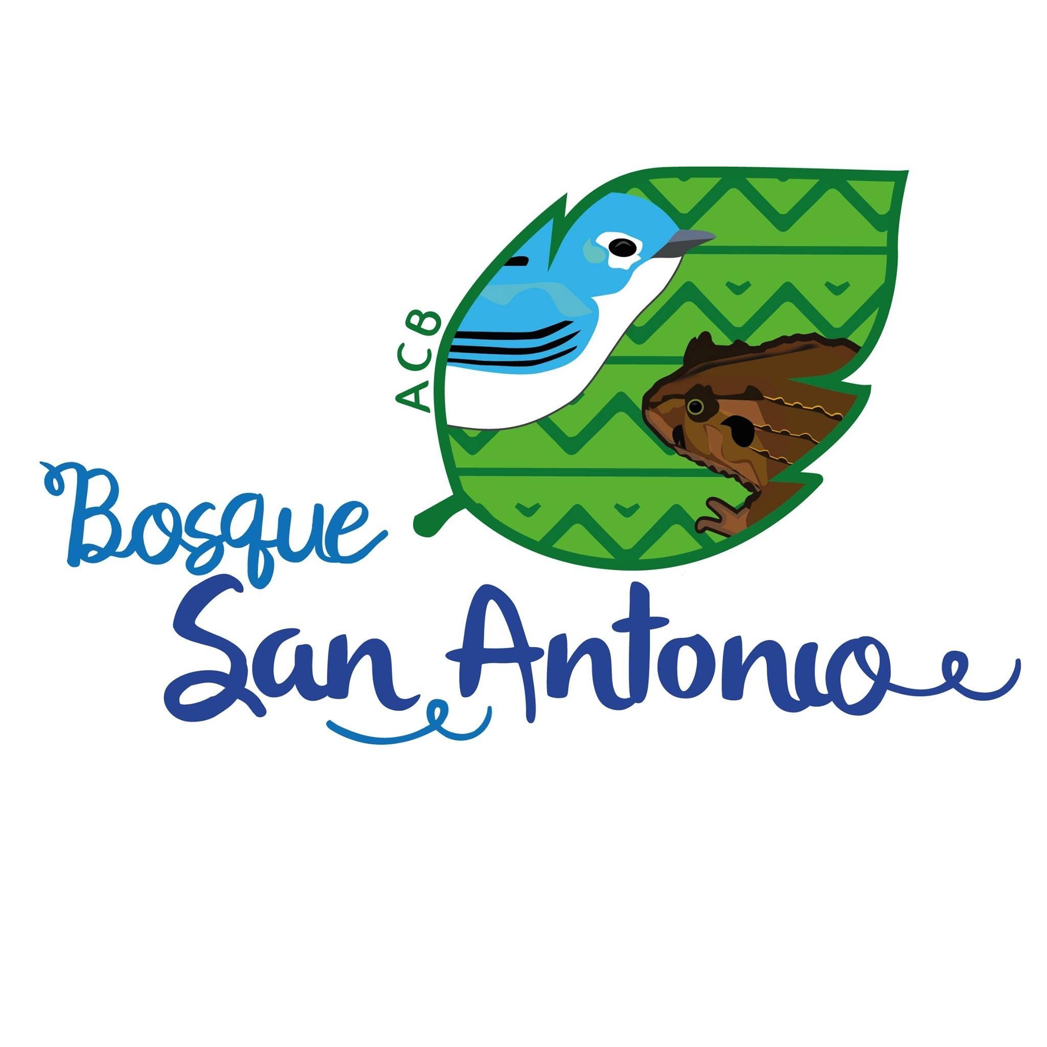 Bosque de San Antonio