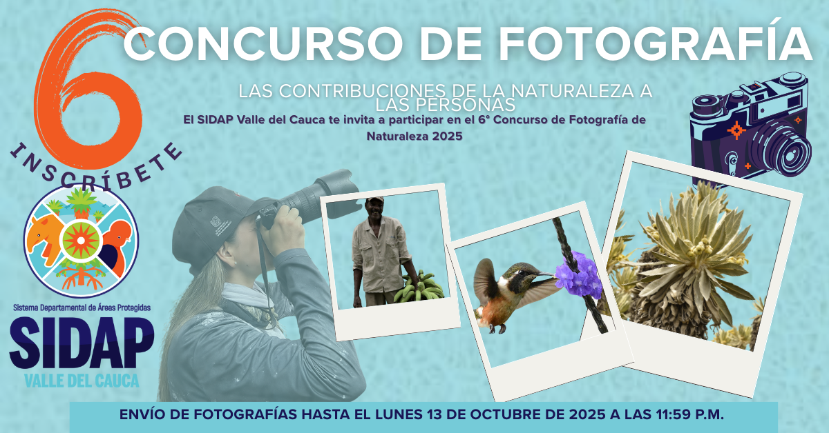 Concurso de Fotografia