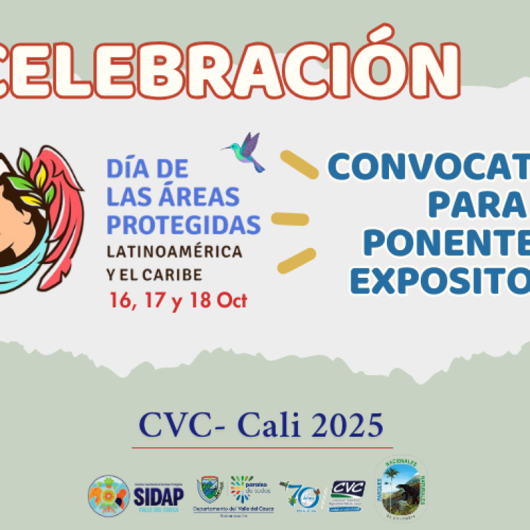 Convocatoria