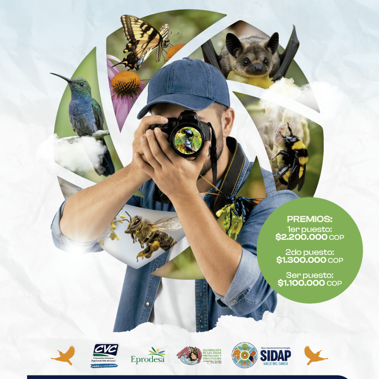 CONCURSO
