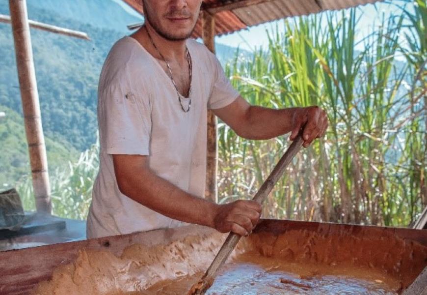 Panelero - David Ramírez
