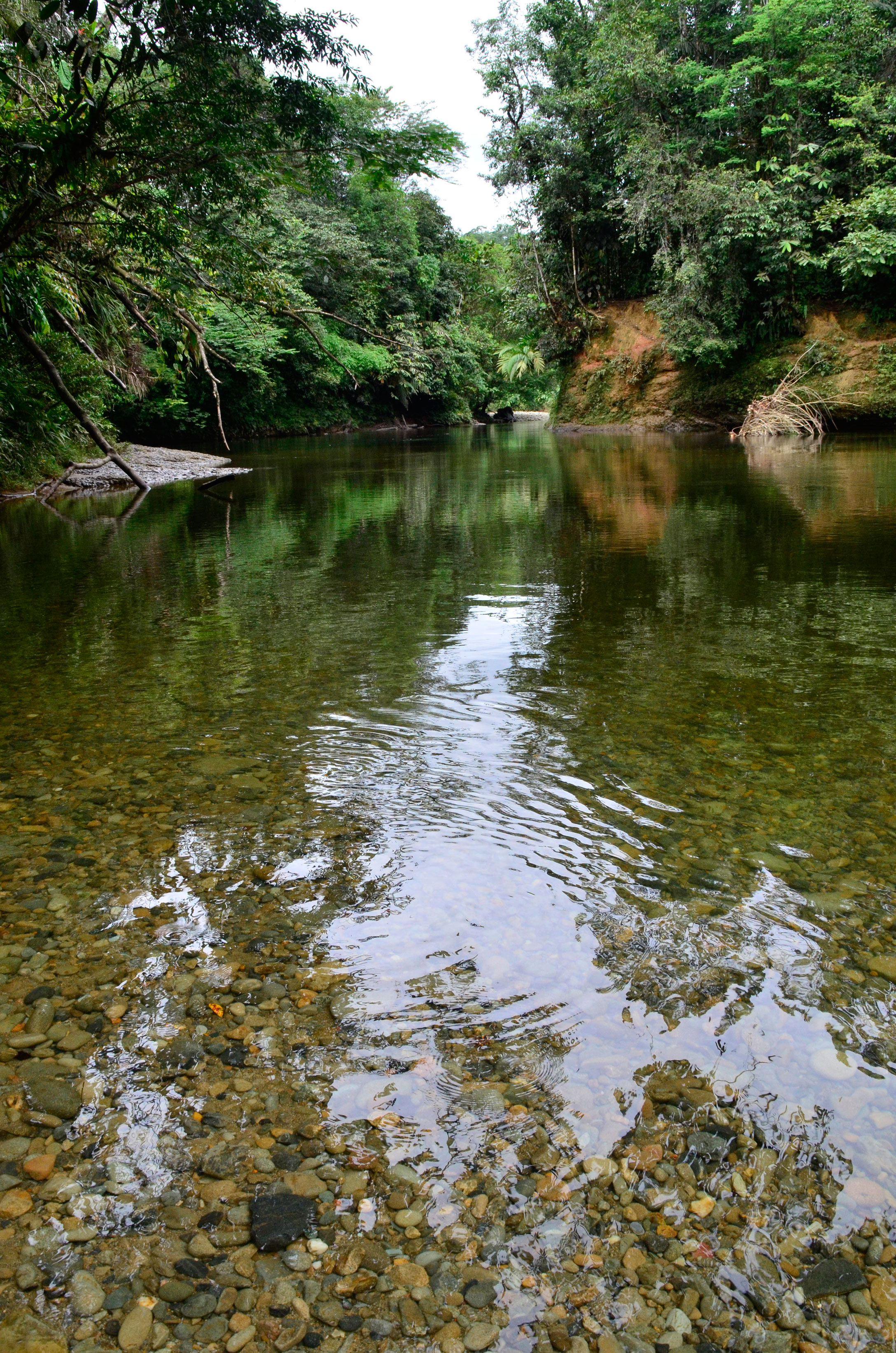 San Cipriano